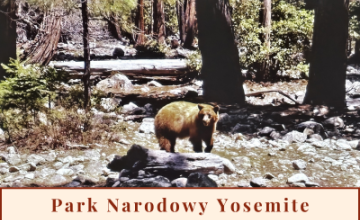 Yosemite - Park Narodowy w Kalifornii odkryty!